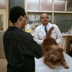 Dr.-Dolittle-(1998-film)-002