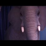 The-Magician’s-Elephant-006