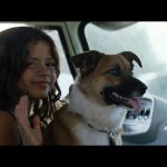 Million-Dollar-Baby-010