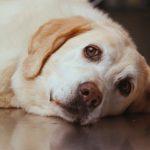 Failure-to-Launch-007