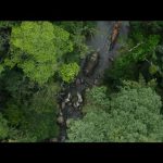 Transformers-Rise-of-the-Beasts-002