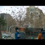Bird-Box-Barcelona-001