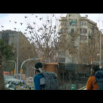 Bird-Box-Barcelona-001