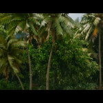 Meg-2-The-Trench-004