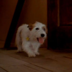 Honey,-I-Shrunk-The-Kids-002