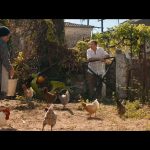 My-Big-Fat-Greek-Wedding-3-008