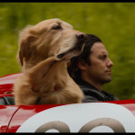 The-Art-of-Racing-in-the-Rain-005