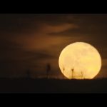 Killers-of-the-Flower-Moon-007