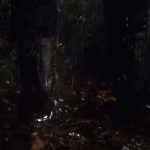 Friday-the-13th-A-New-Beginning-006