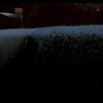 A-Nightmare-on-Elm-Street-3-Dream-Warriors-003