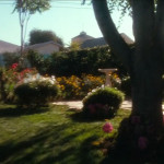 Freddy’s-Dead-The-Final-Nightmare-001