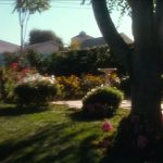 Freddy’s-Dead-The-Final-Nightmare-001