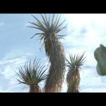 Rango-002