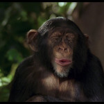 George-of-the-Jungle-002