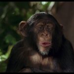 George-of-the-Jungle-002