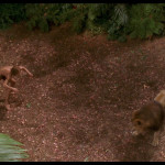 George-of-the-Jungle-003