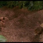 George-of-the-Jungle-003