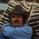 Smokey-and-the-Bandit-002