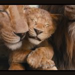 Mufasa-The-Lion-King-001