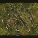 Mufasa-The-Lion-King-002