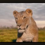 Mufasa-The-Lion-King-008