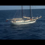 Jaws-The-Revenge-004