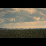 Sinners-002