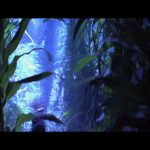 The-X-Files-Fight-the-Future-001