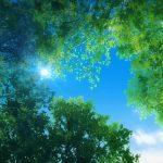 jujutsu-kaisen-hidden-inventorypremature-death-the-movie-004