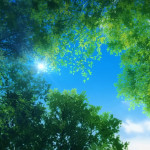 jujutsu-kaisen-hidden-inventorypremature-death-the-movie-004