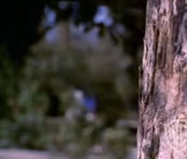 dennis-the-menace-002