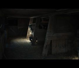 monster-the-ed-gein-story-003