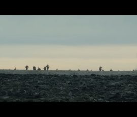 monster-the-ed-gein-story-004