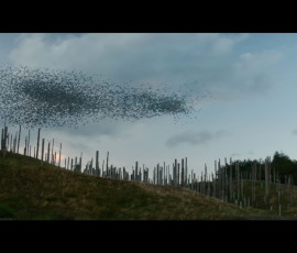 28-years-later-the-bone-temple-005