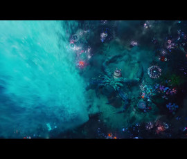 moana-2026-014