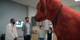 Clifford the Big Red Dog